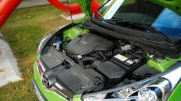 Pan Asymetryczny - Hyundai Veloster