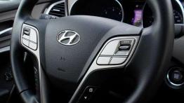 Hyundai Santa Fe 2.2 CRDi - mierzy wysoko