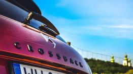 DS 4 Crossback - poza schematami