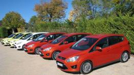 Dwa oblicza rodzinnego vana