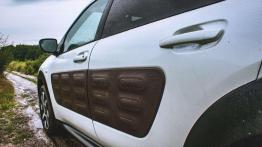 Citroen C4 Cactus Rip Curl - galeria redakcyjna