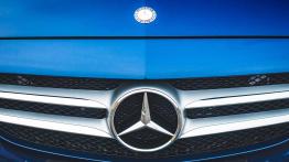 Mercedes-Benz Klasa C 300h - galeria redakcyjna - grill
