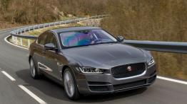 Jaguar XE 2.0d Ammonite Grey (2015) - widok z przodu