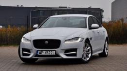 Jaguar XF (2016) - galeria redakcyjna - widok z przodu