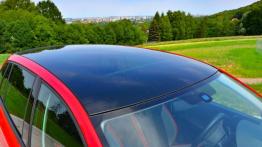 Skoda Rapid Monte Carlo 1.2 TSI 105 KM - galeria redakcyjna - dach