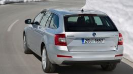 Skoda Octavia III Kombi 4x4 TSI (2013) - widok z tyłu