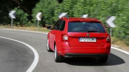Skoda Octavia III Kombi 4x4 TDI (2013) - widok z tyłu