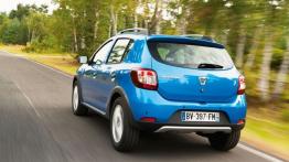 Dacia Sandero II Stepway - widok z tyłu