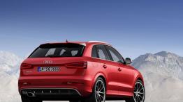 Audi RS Q3 (2014) - widok z tyłu
