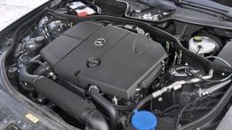 Mercedes Klasa S W221 Limuzyna Facelifting 250 CDI BlueEFFICIENCY 204KM - galeria redakcyjna - silni