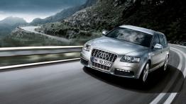 Audi S6 Avant 2008 - widok z przodu