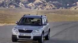Skoda Yeti 2011 - widok z przodu