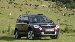 Skoda Yeti w Odessie - galeria redakcyjna - widok z przodu
