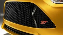 Ford Focus III ST hatchback - grill