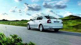 Skoda Octavia II GreenLine Hatchback Facelifting - widok z tyłu
