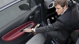 Citroen DS3 Hatchback 3D - drzwi kierowcy od wewnątrz