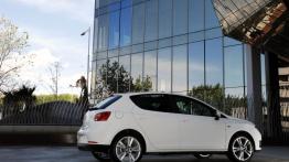 Seat Ibiza 2008 - prawy bok