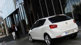 Seat Ibiza 2008 - widok z tyłu