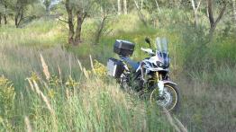 Honda Africa Twin DCT – automatyczna legenda
