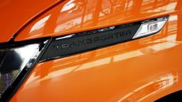 Volkswagen T6.1 – wysoko podniósł poprzeczkę