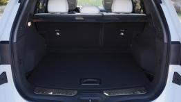 Renault Koleos - siła kompromisu