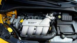 "Męska rzecz" - Renault Clio