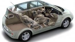 Czy warto kupić: używane Renault Scenic II (od 2003 do 2009)