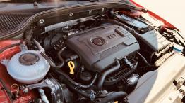 Skoda Octavia RS 245 - galeria redakcyjna - silnik solo