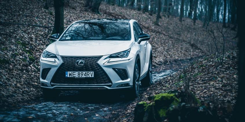 Lexus NX 300 - galeria redakcyjna (4)