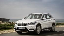 BMW X1 II xDrive20d (2016) - lewy bok