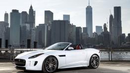 Jaguar F-Type AWD R Roadster (2016) - lewy bok