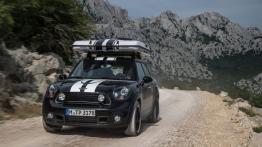 Mini Countryman ALL4 Camp (2013) - widok z przodu