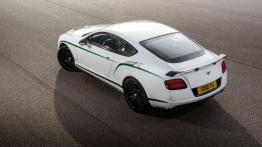 Bentley Continental GT3-R (2014) - widok z góry
