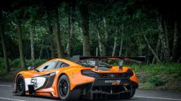 McLaren 650S GT3 (2014) - widok z tyłu