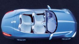 Renault Nepta Concept - widok z góry