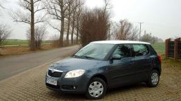 Skoda Fabia 1.4 TDI 59 kW - Mała i funkcjonalna, ale klekocząca