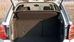 Dzielny osiołek - Fiat Sedici