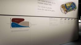 Feeria dźwięków, kolorów i zapachów, czyli zapowiedź nowej S-Klasy - Mercedes Klasa S