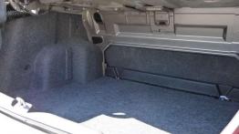 Czy warto kupić: używane Renault Thalia (od 2008 do 2012)