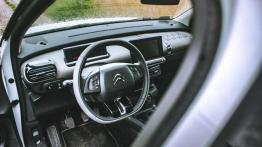 Citroen C4 Cactus Rip Curl - galeria redakcyjna