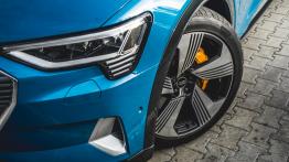 Audi e-tron - galeria redakcyjna