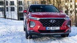 Hyundai Santa Fe 2.0 CRDI 185 KM - galeria redakcyjna - widok z przodu