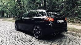 Peugeot 308 GTi - galeria redakcyjna - widok z tyłu
