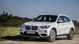 BMW X1 II xDrive20d (2016) - lewy bok