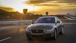 Jaguar XE 2.0d Ammonite Grey (2015) - widok z przodu