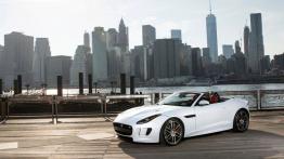 Jaguar F-Type AWD R Roadster (2016) - lewy bok