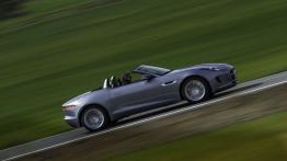 Jaguar F-Type V6 Satellite Grey - prawy bok