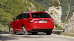 Skoda Octavia III Kombi 4x4 TDI (2013) - widok z tyłu