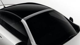 Renault Megane III Cabrio Facelifting (2014) - dach
