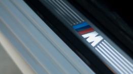 BMW Seria 5 F10 535d 313KM - galeria redakcyjna - listwa progowa